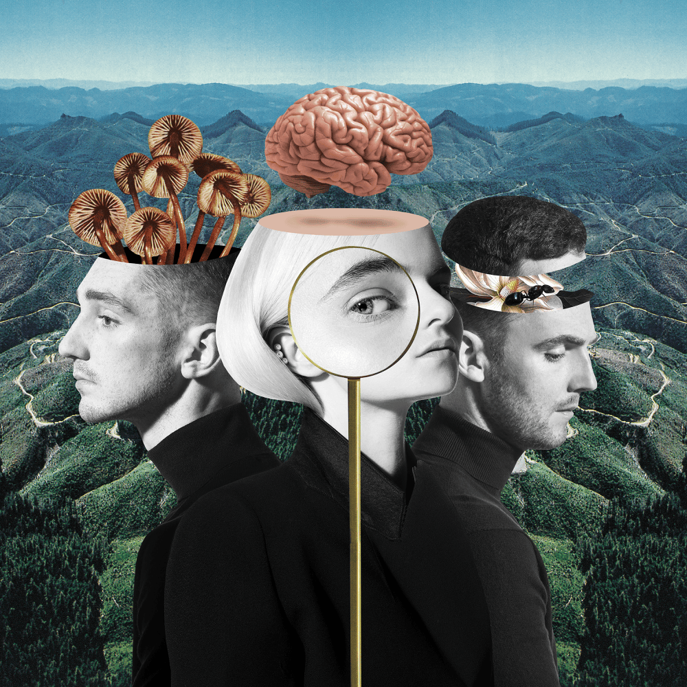 What Is Love? cover