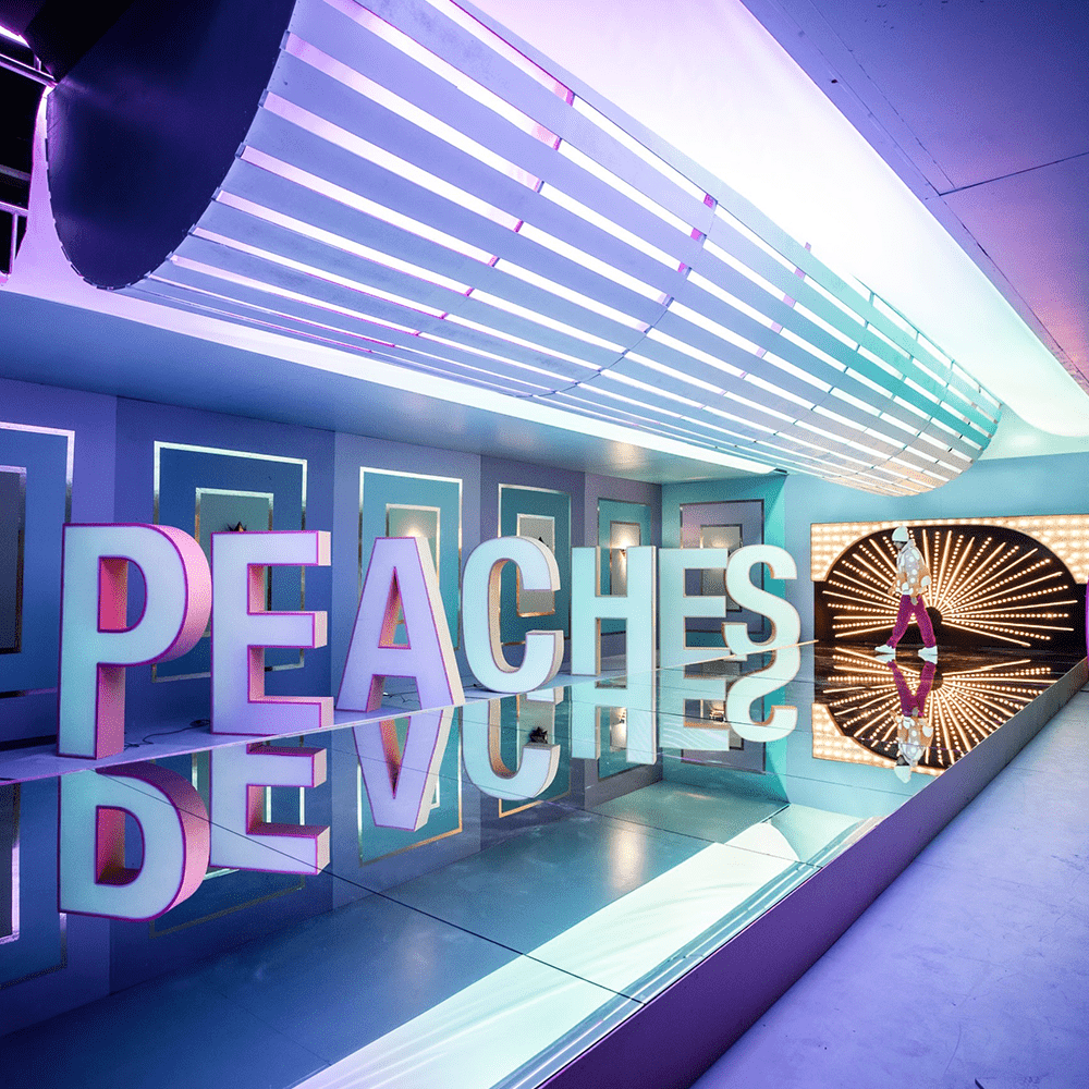 Peaches artwork