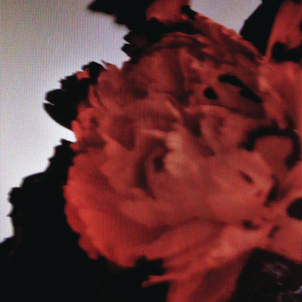 All of Me artwork