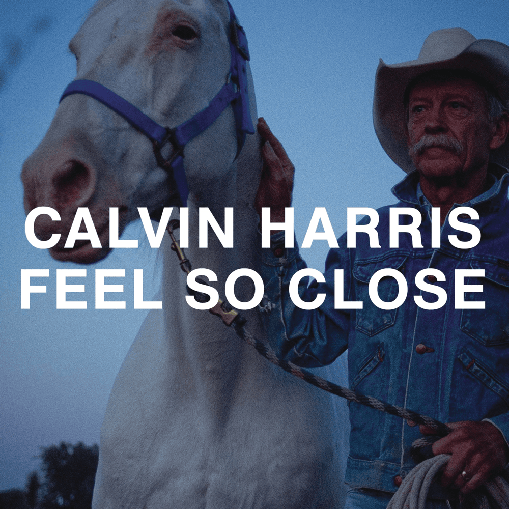 Feel So Close (Remixes) cover
