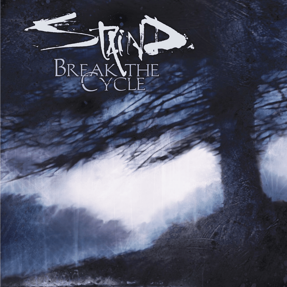 Break the Cycle cover
