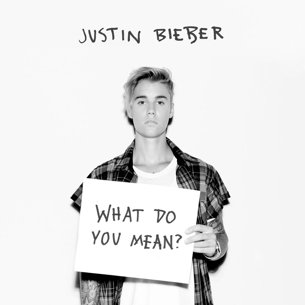 What Do You Mean? artwork