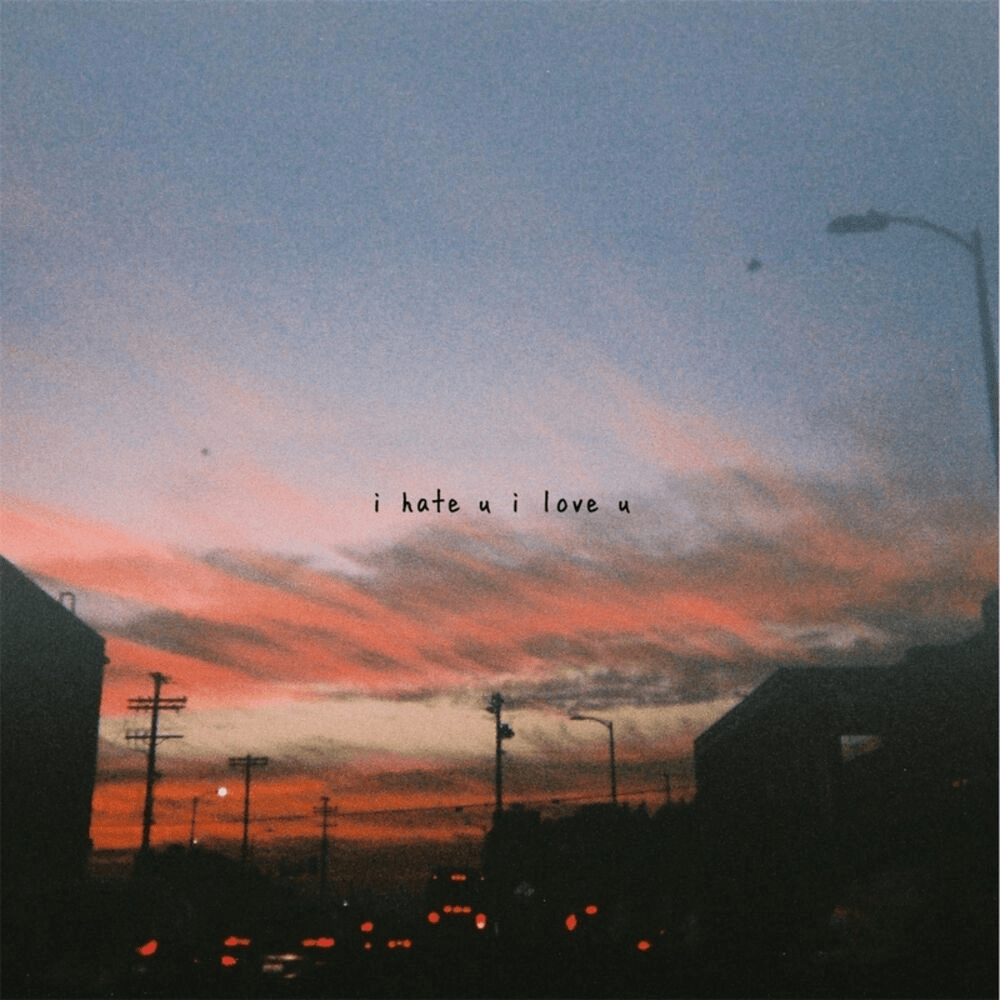 i hate u, i love u artwork