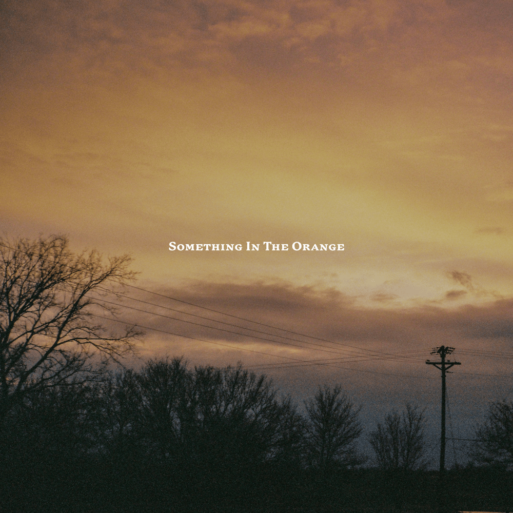 Something in the Orange artwork