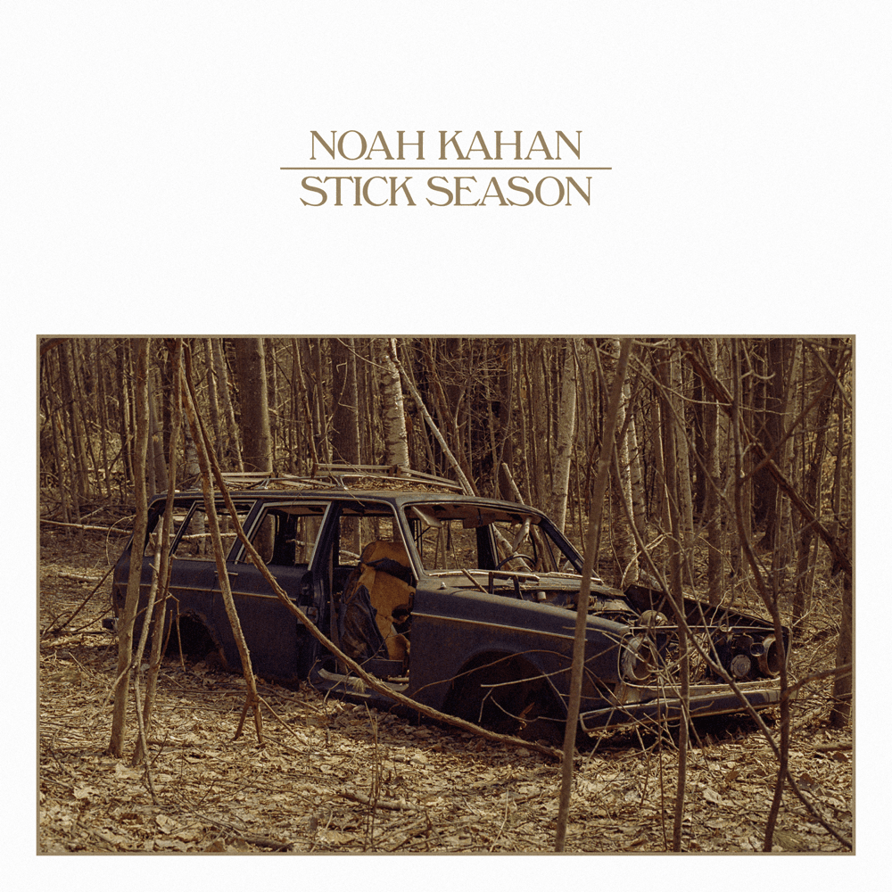 Stick Season artwork
