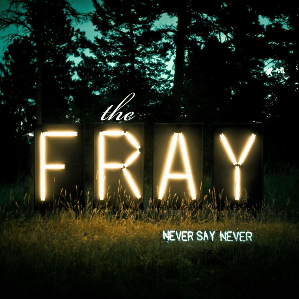 Never Say Never artwork