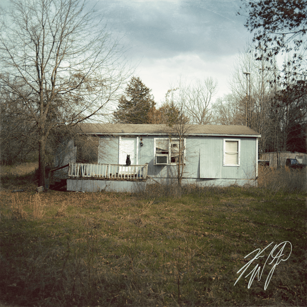 9 Lives cover