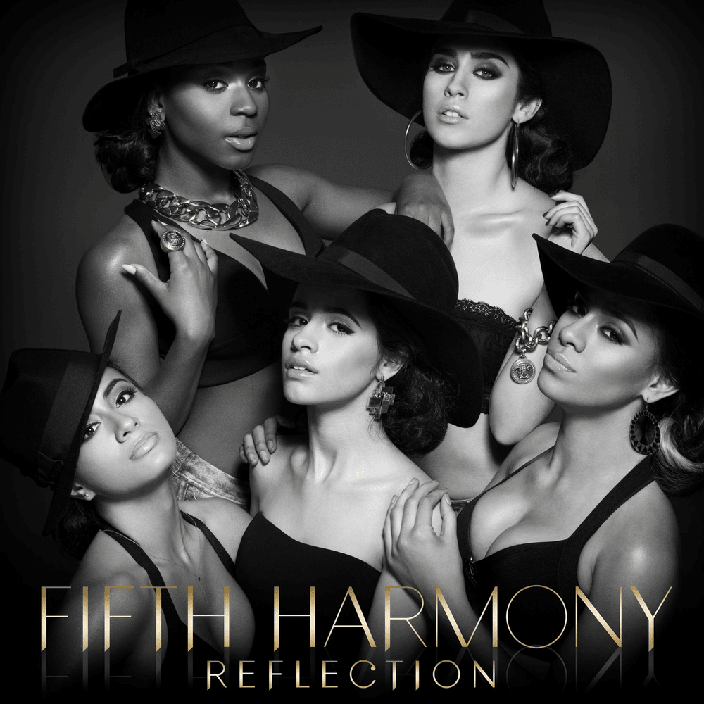 Reflection  cover