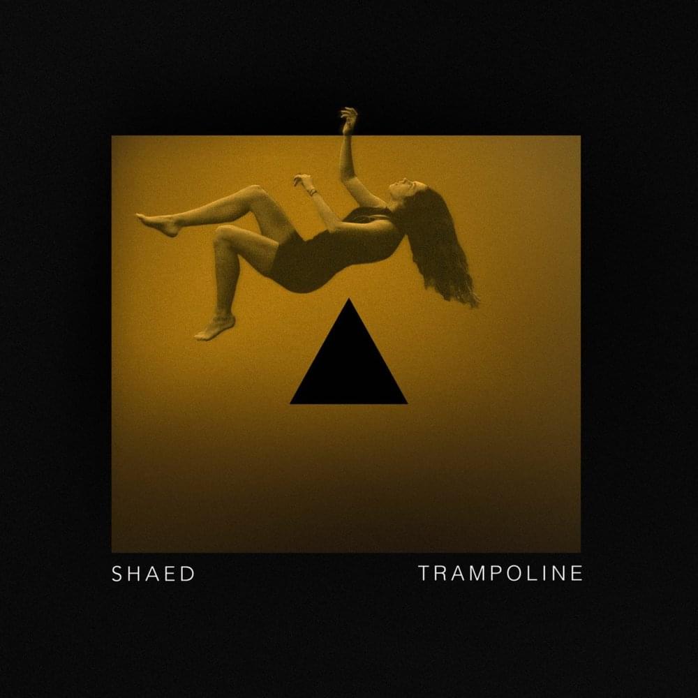 Trampoline artwork
