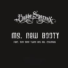Ms. New Booty artwork