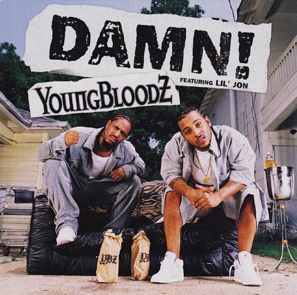 Damn! artwork