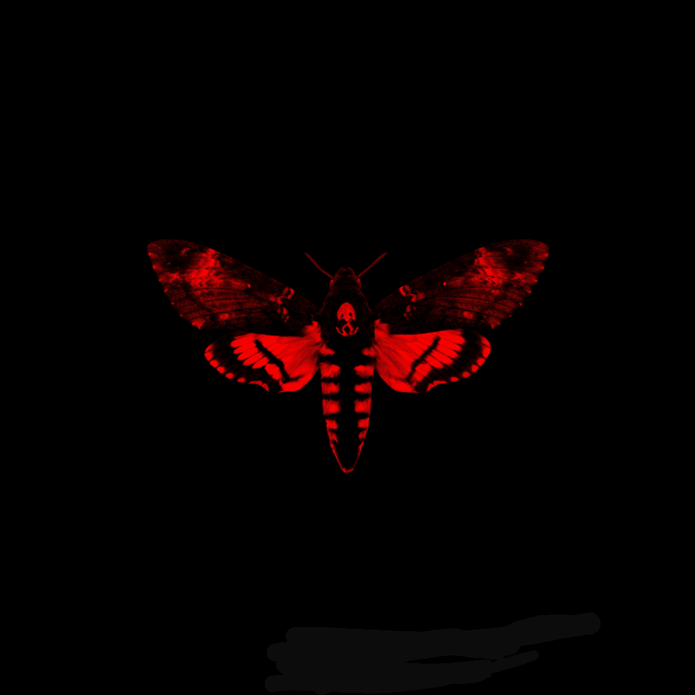 I Am Not a Human Being II cover
