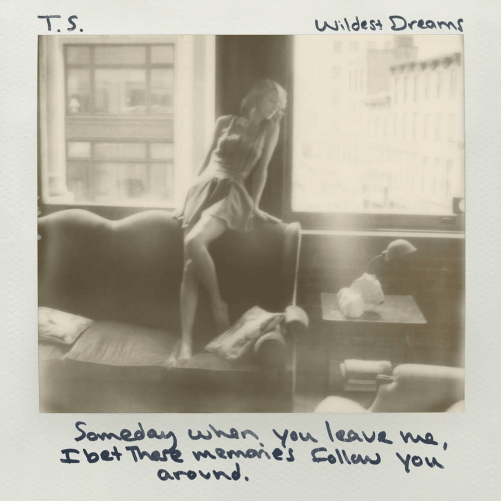 Wildest Dreams artwork