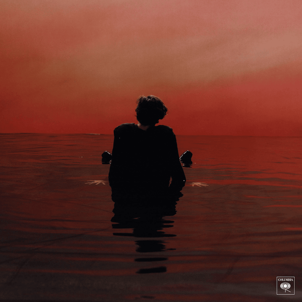 Sign of the Times artwork
