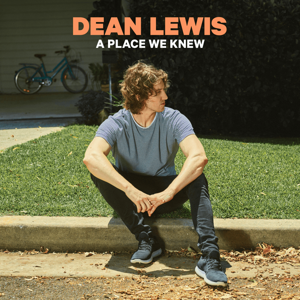 A Place We Knew cover