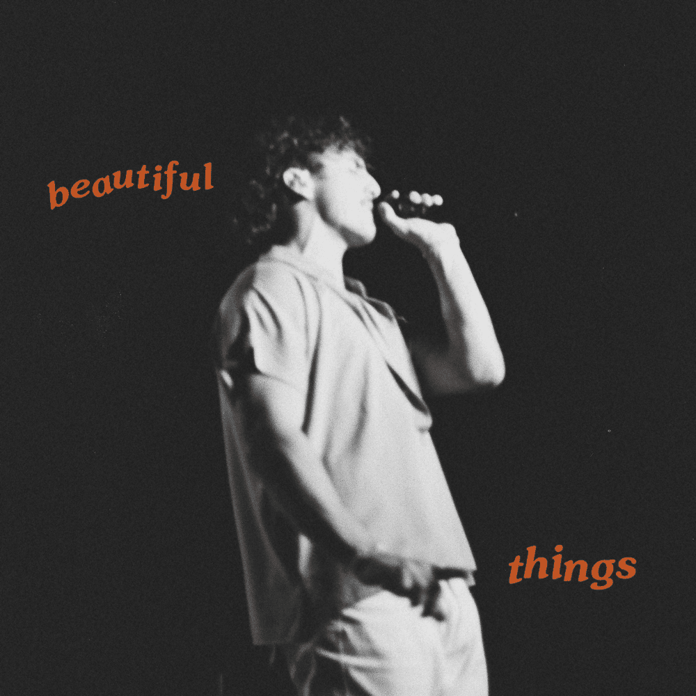 Beautiful Things artwork