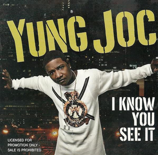 I Know You See It artwork
