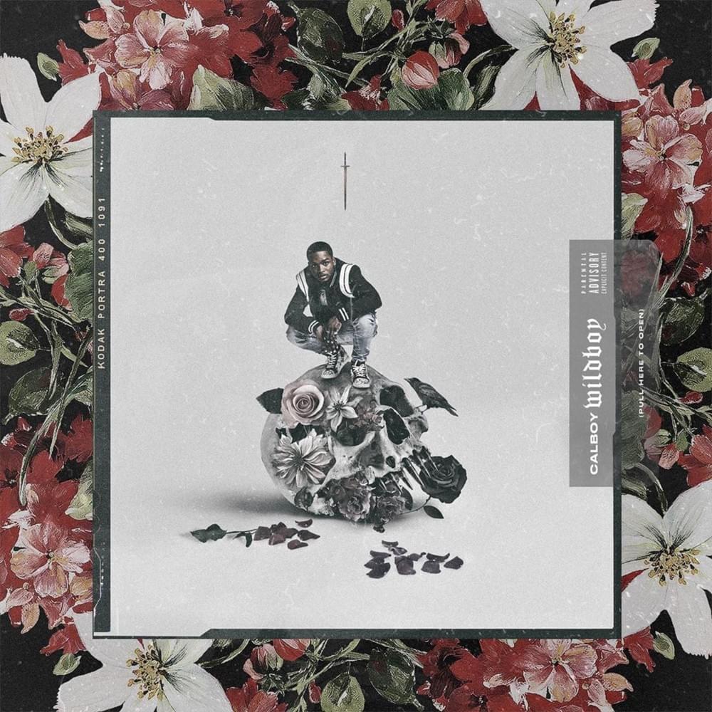 Wildboy cover
