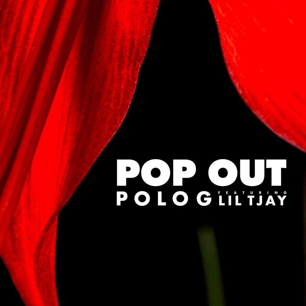 Pop Out artwork