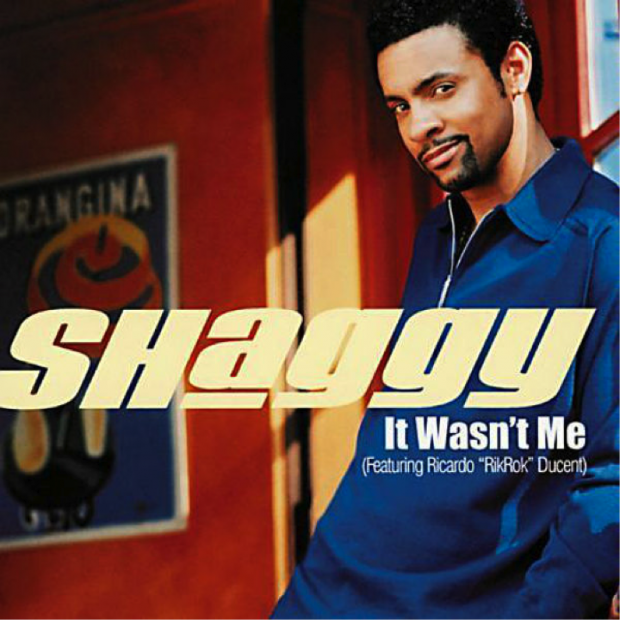 It Wasn’t Me artwork