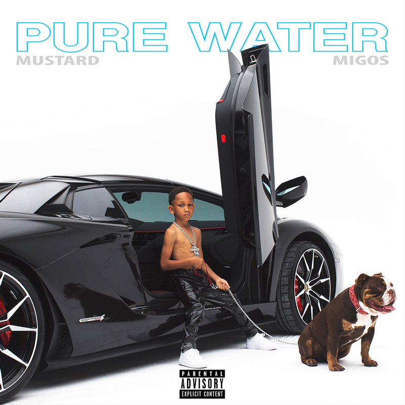 Pure Water artwork