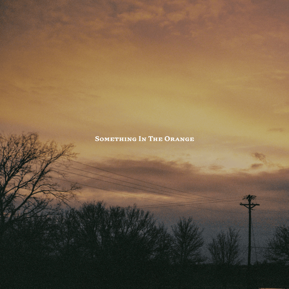 Something in the Orange cover