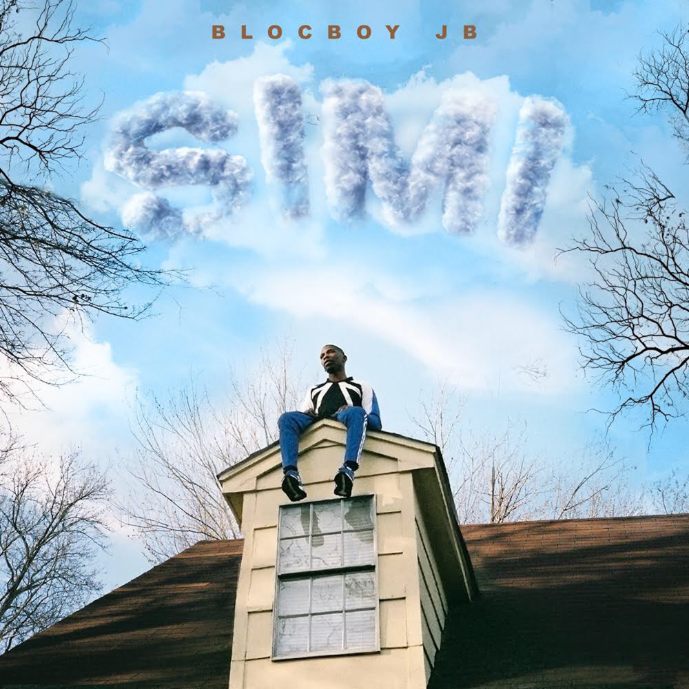 SIMI cover