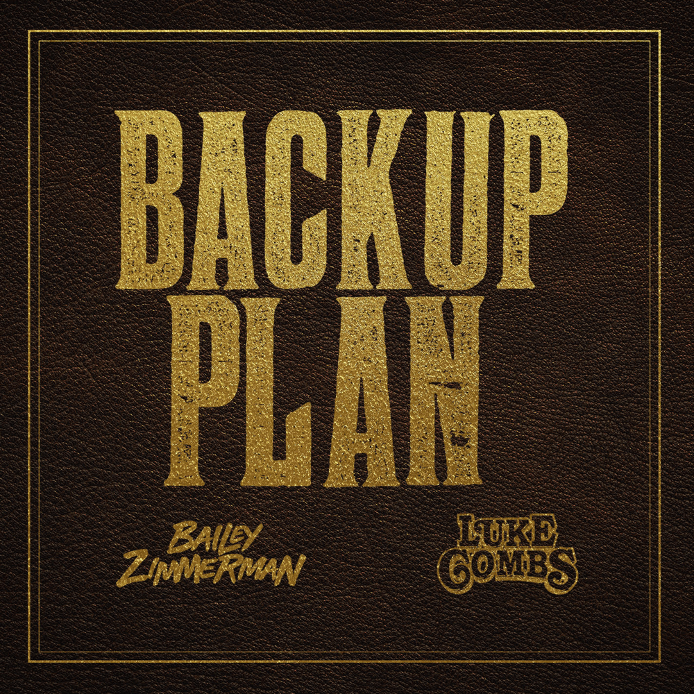 Backup Plan artwork