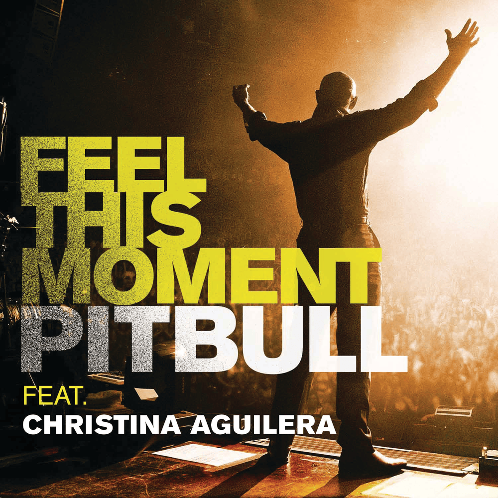 Feel This Moment artwork